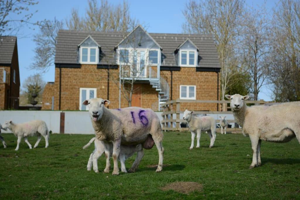 Braunston  Field Viewヴィラ エクステリア 写真