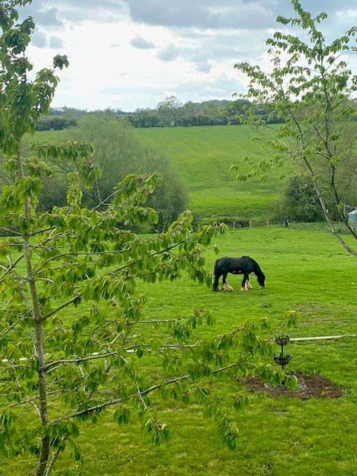 Braunston  Field Viewヴィラ エクステリア 写真